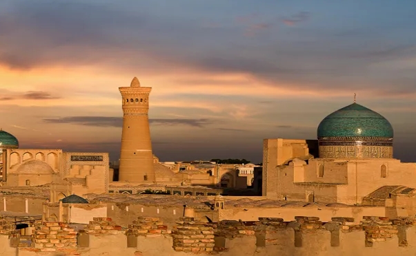 乌兹别克斯坦海关数据查询平台（附免费试用查询名额)