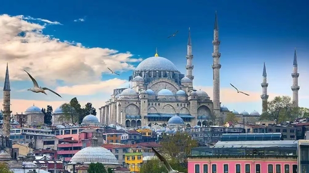 从海关数据看，土耳其进口中国最多的产品有哪些？